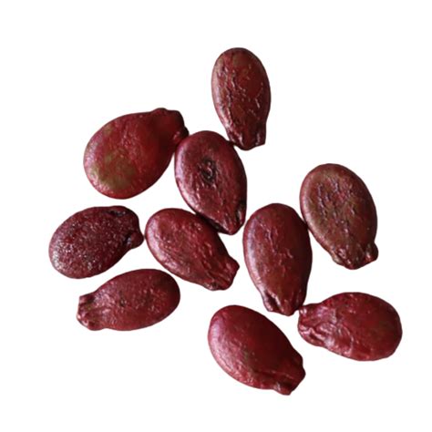 Watermelon Seeds (Organic, Non-Hybrid, Non-GMO, Open-Pollinated ...