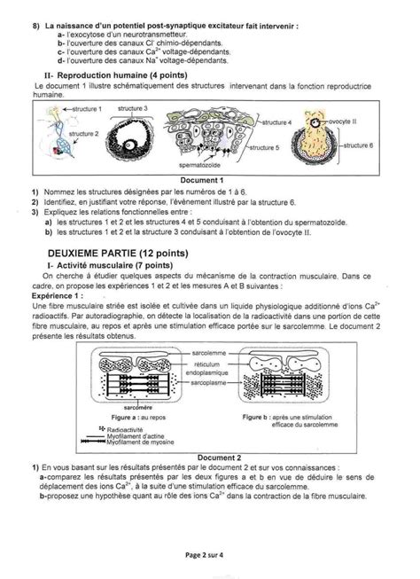 EPREUVES D’EDtlCATlON PHYSIQUE II SPORTIVE - BAC SESSION 2025