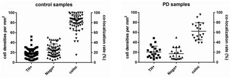 Co-Expression of Nogo-A in Dopaminergic Neurons of the Human Substantia ...