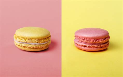 LPN vs LVN: Differences Between Practical Nurses and Vocational Nurses