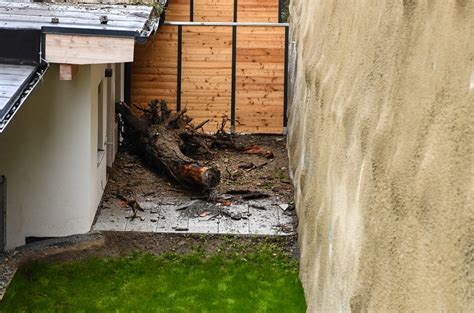 Wipptal: Baum stürzt auf Reihenhaus - UnserTirol24