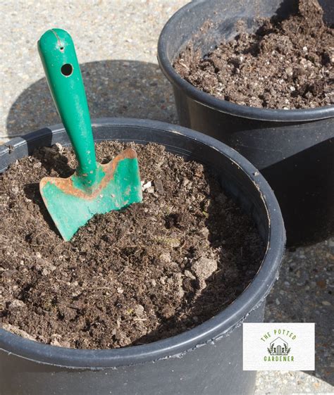 Reusing Old Garden Soil at Jackson Mcpherson blog
