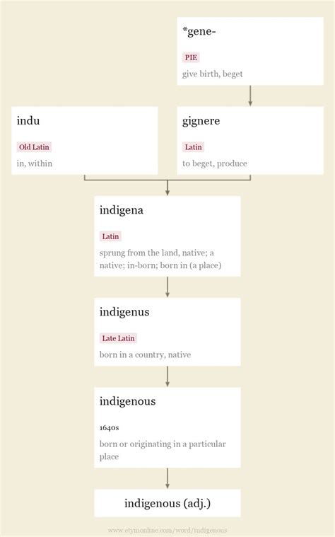 Native Synonym 的图像结果