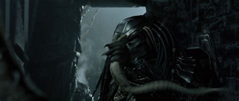 Alien vs Predator Chestburster 的图像结果