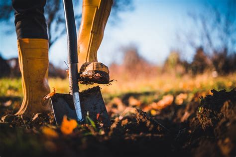 How to Dig Soil for Planting: Some Methods to Know – Ugaoo