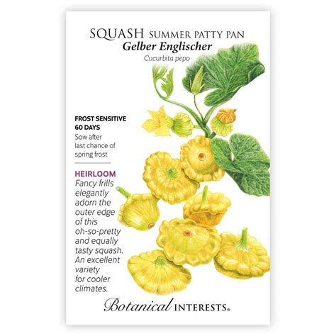 Gelber Englischer Summer (Patty Pan) Squash Seeds – Botanical Interests