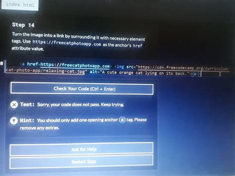 Image result for Step 14 Freecodecamp HTML