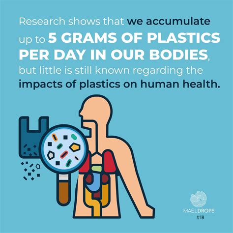 MAELDrop #18 | The effects of plastics on human health - Maelstrom