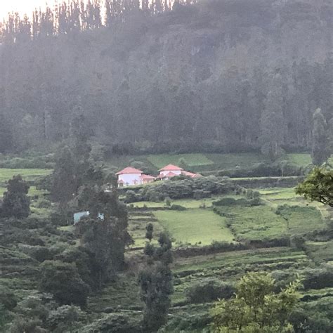 GREEN LEAVES THE COUNTRYSIDE INN (Ooty (Udhagamandalam)) - Hotel ...