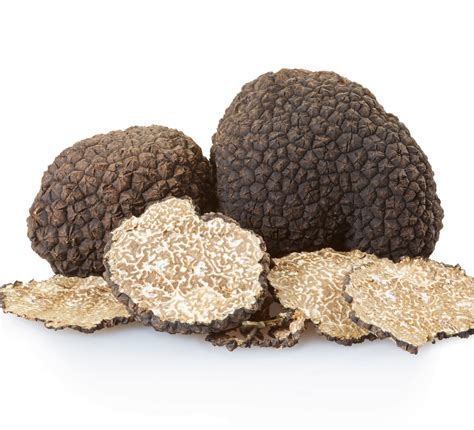 Are Truffles Okay For Dogs