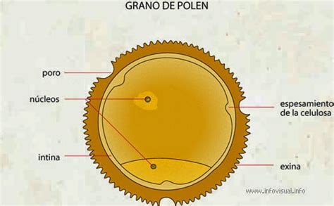 Google Maps Wallpaper Recipe Product HD Recipe Product Product Recipe HD Product Recipe Product Reci