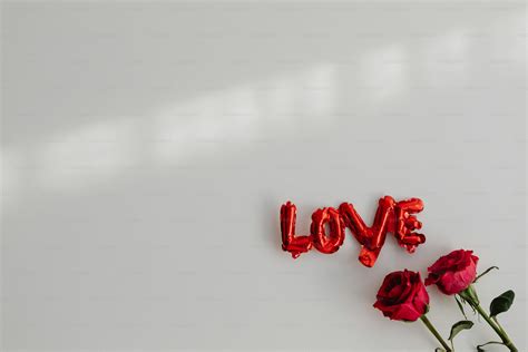 A red rose with the word love painted on it photo – Background Image on ...