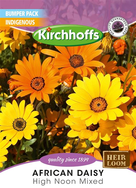 African Daisy Aurantiaca Mix Seed – Gro-Pak