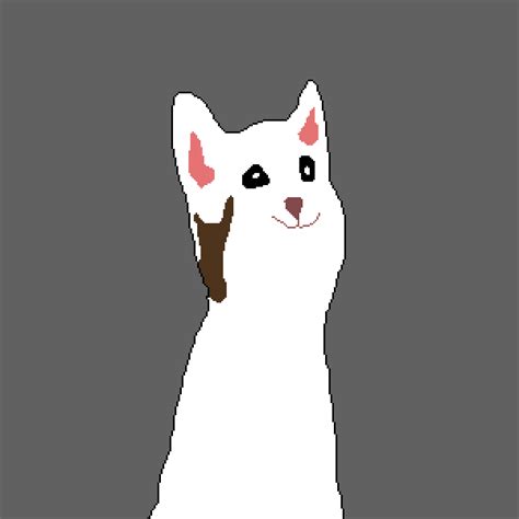 Pop Cat GIFs | GIFDB.com