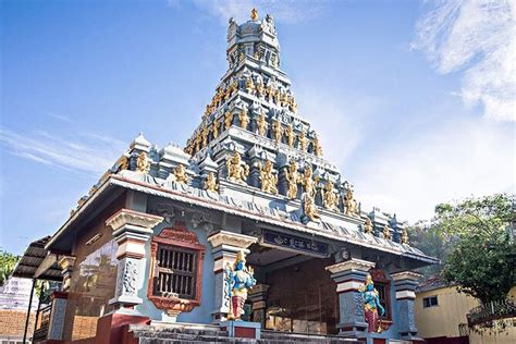 2026 Mangaluru Shore Excursion - Full Day Private Mangaluru Guided City ...
