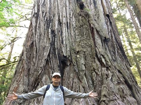 FERN HOOK (Hiouchi) - Campground Reviews & Photos - Tripadvisor