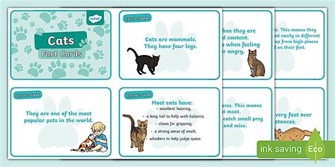 Interesting Facts About Cats | Parents
