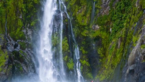 Coastal New Zealand: Scenic Fjords, Maori History, and Abundant ...
