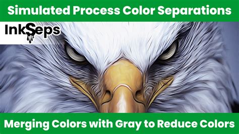 Image result for 4 Color Process Separations