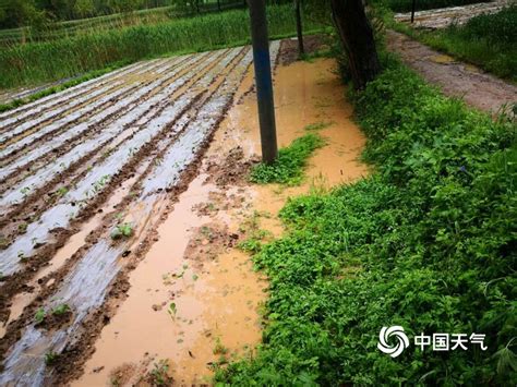 蒋高明：当年创造辉煌的农田水利设施惨遭废弃 - 红色文化网