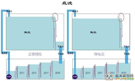 大型鱼缸溢流区如何设计才好