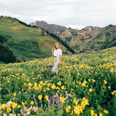 Utah State Flower Wallpaper1