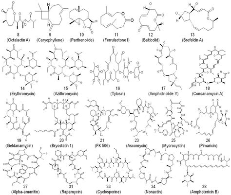 From Erythromycin to Azithromycin and New Potential Ribosome-Binding ...