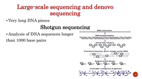 DNA Sequencing Methods 的图像结果