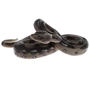 Buy Spograde Plastic Realistic Wildlife Jungle Forest Animals Boa ...
