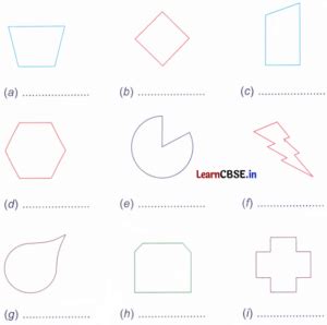 Image result for Symmetry Reflection and Pattern Chapter of Class 4
