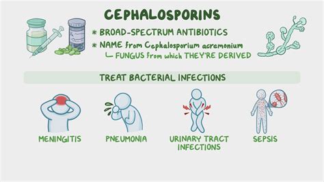Antibiotics Classification According To Spectrum