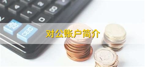 基本账户和对公账户有什么区别 - 财梯网