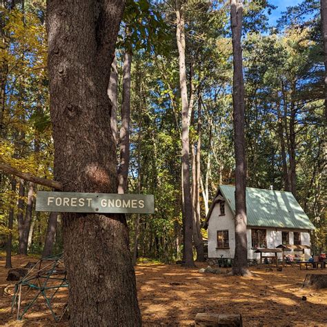 Family Forest School - Natick Community Organic Farm