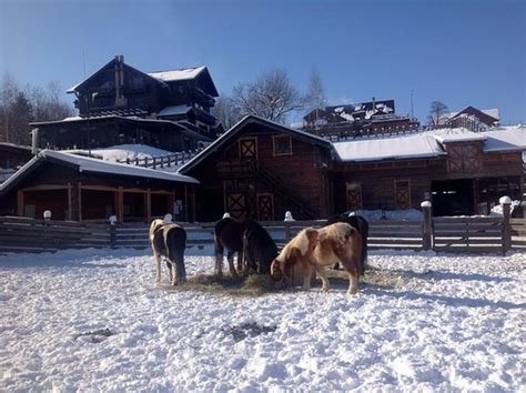 MAGGIE'S RANCH (Rasnov) - Lodge Reviews, Photos, Rate Comparison ...