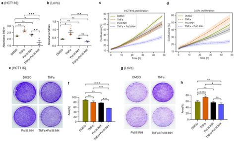 Cancers | Special Issue : Involvement of RNA Polymerases I and III in ...