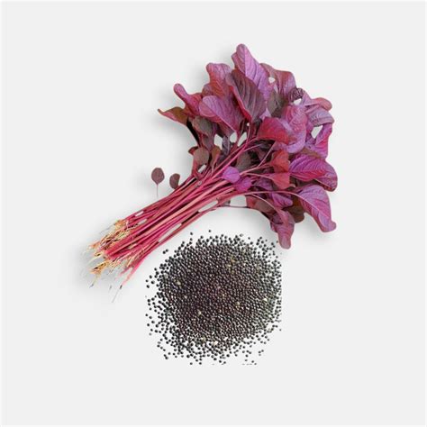 Buy red amaranthus IMP seeds (6GM) online at best price