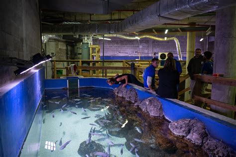 Photo Gallery • Oklahoma Aquarium Jenks, OK • CivicEngage