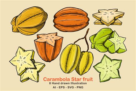 Carambola or Star Fruit Illustrations - HAND DRAWN TASTE
