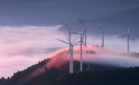 Así será el parque eólico que suministrará energía a BBVA | BBVA