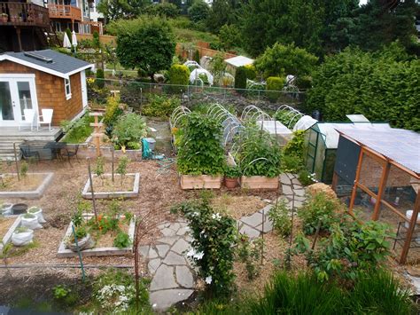 Homesteading on a Small Property