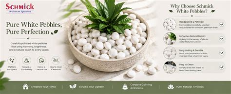 Schmick 5 Kg White Pebbles Stones for Plants Pots, Decoration, Garden ...