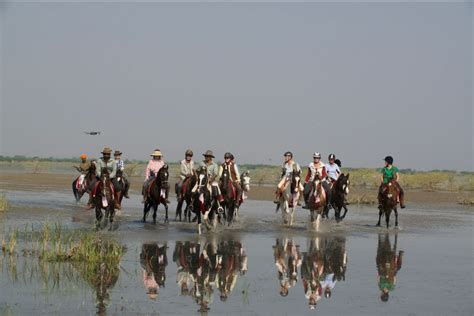 Saddle up, these are India’s best horse riding experiences for the Year ...
