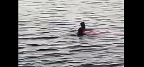 68-Year-Old Woman Dies After Shark Attack In Egypt