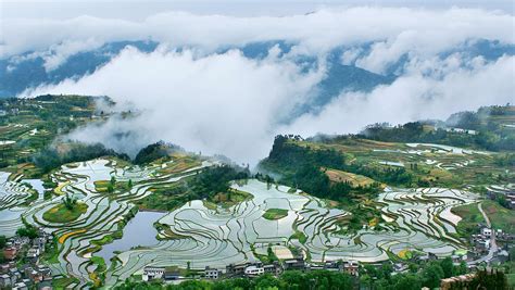 重庆开州｜元帅故里砺初心，三峡腹地绘新卷_政协号