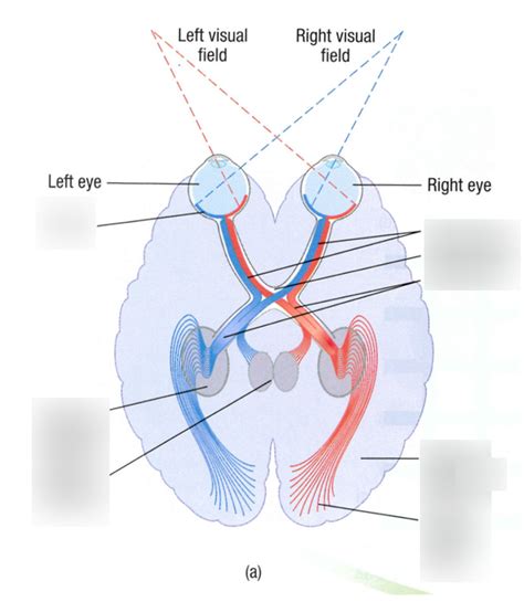 Image result for Depth map Depth Perception
