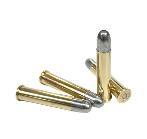 45 70 Government Rounds