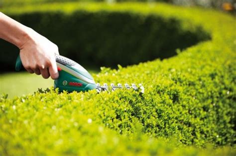 Tosaerba e Sfoltirami a Batteria Bosch Set Isio 2 Lame  