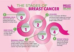 breast cancer 的图像结果