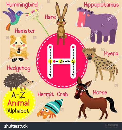 Animals That End In H at Wilma Breazeale blog