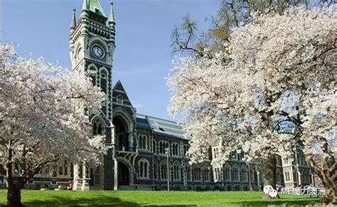保姆级教程 | （史上最全）新西兰本科+硕士留学申请攻略 - 知乎